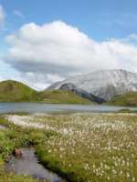 Aufgezeichnet 2007-8-23 00008